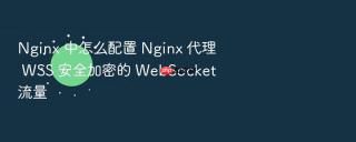 nginx 中怎么配置 nginx 代理 wss 安全加密的 websocket 流量