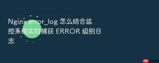 nginx error_log 怎么结合监控系统实时捕获 error 级别日志