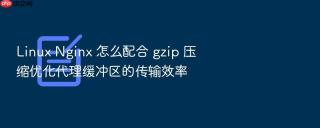 linux nginx 怎么配合 gzip 压缩优化代理缓冲区的传输效率