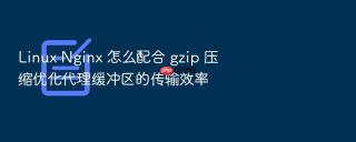 Linux Nginx 怎么配合 gzip 压缩优化代理缓冲区的传输效率
