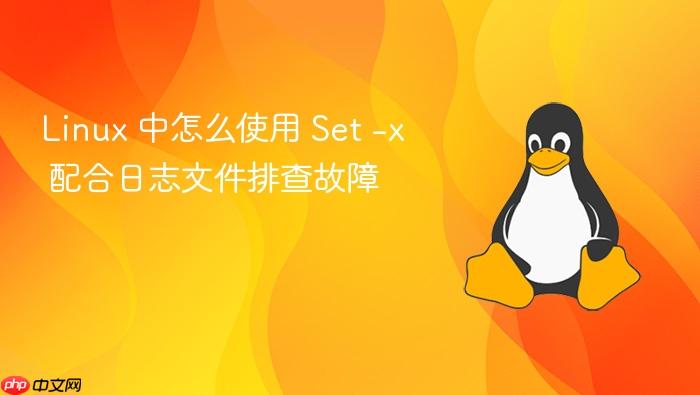 linux 中怎么使用 set -x 配合日志文件排查故障