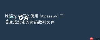 Nginx 中怎么使用 htpasswd 工具生成加密的密码散列文件