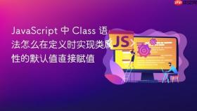 JavaScript 中 Class 语法怎么在定义时实现类属性的默认值直接赋值