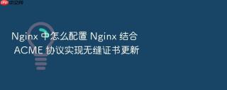 Nginx 中怎么配置 Nginx 结合 ACME 协议实现无缝证书更新