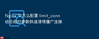 nginx 中怎么配置 limit_conn 结合超时参数快速清理僵尸连接
