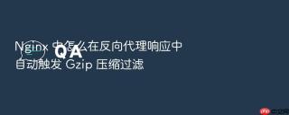 nginx 中怎么在反向代理响应中自动触发 gzip 压缩过滤