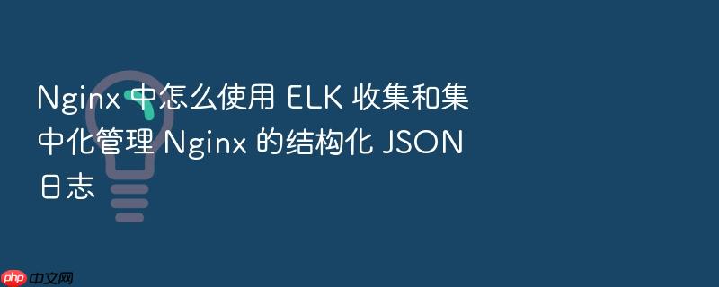 nginx 中怎么使用 elk 收集和集中化管理 nginx 的结构化 json 日志