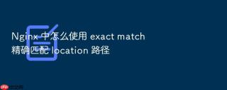 nginx 中怎么使用 exact match 精确匹配 location 路径