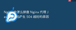 nginx 中怎么排查 nginx 代理 java 后端时产生 504 超时的原因