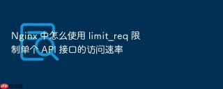 nginx 中怎么使用 limit_req 限制单个 api 接口的访问速率