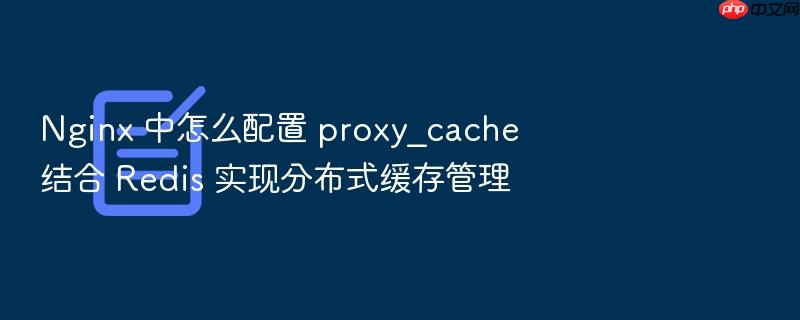 nginx 中怎么配置 proxy_cache 结合 redis 实现分布式缓存管理