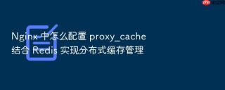 nginx 中怎么配置 proxy_cache 结合 redis 实现分布式缓存管理