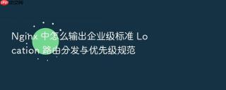 nginx 中怎么输出企业级标准 location 路由分发与优先级规范