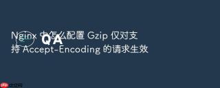 nginx 中怎么配置 gzip 仅对支持 accept-encoding 的请求生效