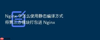 nginx 中怎么使用静态编译方式将第三方模块打包进 nginx