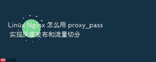 linux nginx 怎么用 proxy_pass 实现灰度发布和流量切分