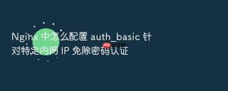 nginx 中怎么配置 auth_basic 针对特定内网 ip 免除密码认证