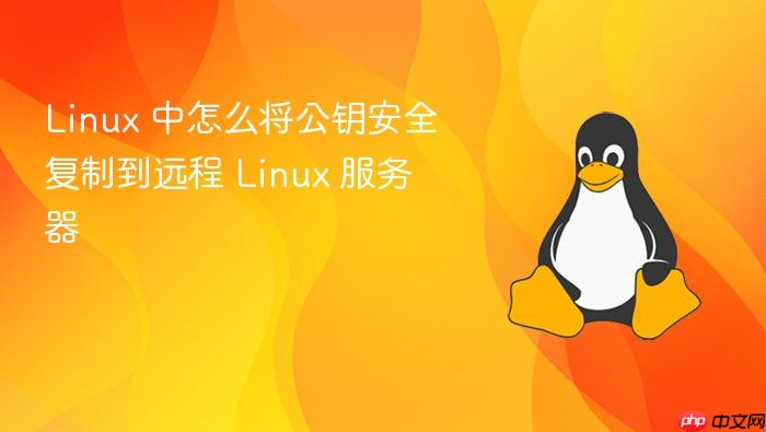 linux 中怎么将公钥安全复制到远程 linux 服务器
