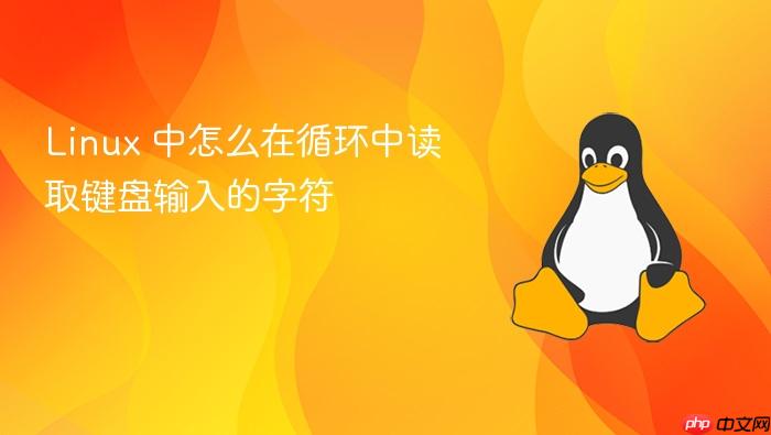 linux 中怎么在循环中读取键盘输入的字符