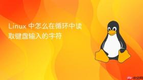 linux 中怎么在循环中读取键盘输入的字符
