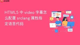 html5 中 video 字幕怎么配置 srclang 属性指定语言代码