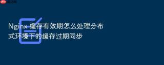 nginx 缓存有效期怎么处理分布式环境下的缓存过期同步