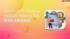 JavaScript 中 Object.prototype.toString 怎么精准检测数据类型