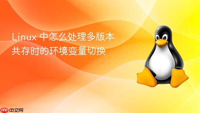 linux 中怎么处理多版本共存时的环境变量切换