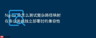 nginx 中怎么测试复杂路径映射在多业务线独立部署时的兼容性