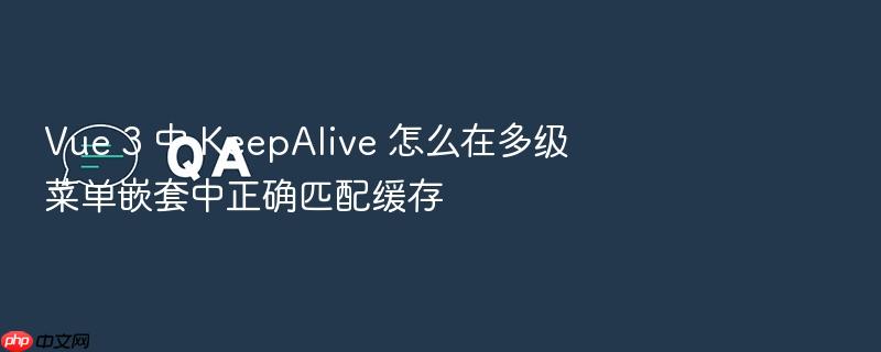 vue 3 中 keepalive 怎么在多级菜单嵌套中正确匹配缓存