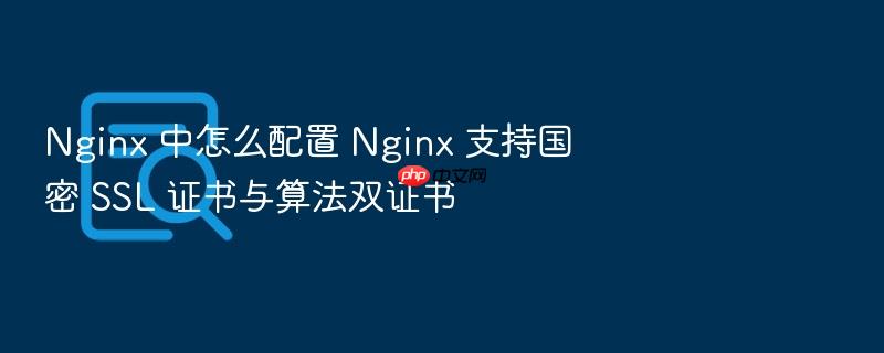 nginx 中怎么配置 nginx 支持国密 ssl 证书与算法双证书
