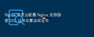 nginx 中怎么配置 nginx 支持国密 ssl 证书与算法双证书