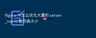 Nginx 中怎么优化大量的 server_name 散列表大小