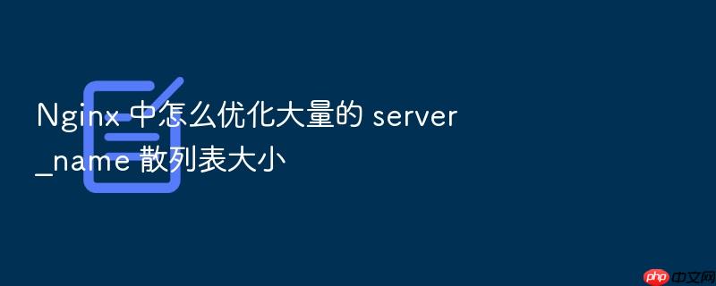 nginx 中怎么优化大量的 server_name 散列表大小
