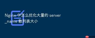 nginx 中怎么优化大量的 server_name 散列表大小