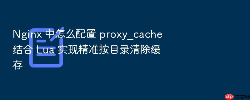 nginx 中怎么配置 proxy_cache 结合 lua 实现精准按目录清除缓存