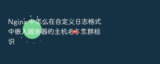nginx 中怎么在自定义日志格式中嵌入服务器的主机名与集群标识