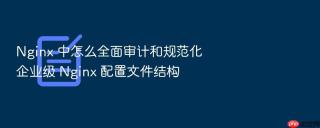 nginx 中怎么全面审计和规范化企业级 nginx 配置文件结构