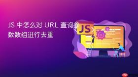 js 中怎么对 url 查询参数数组进行去重