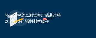 nginx 中怎么测试客户端通过特定 header 强制刷新缓存