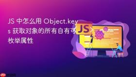 js 中怎么用 object.keys 获取对象的所有自有可枚举属性