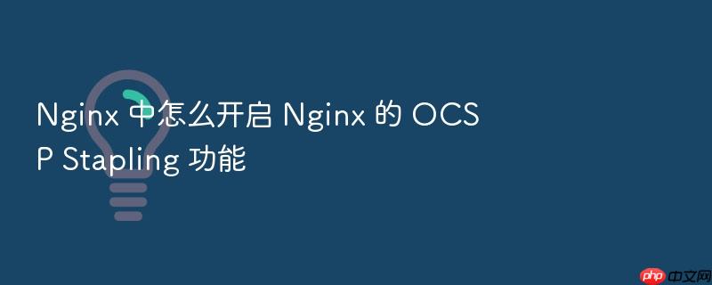 nginx 中怎么开启 nginx 的 ocsp stapling 功能