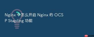 nginx 中怎么开启 nginx 的 ocsp stapling 功能