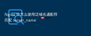 Nginx 中怎么使用泛域名通配符匹配 server_name
