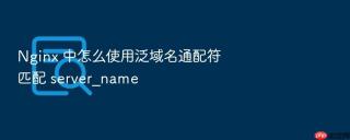 nginx 中怎么使用泛域名通配符匹配 server_name