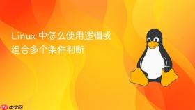 Linux 中怎么使用逻辑或组合多个条件判断