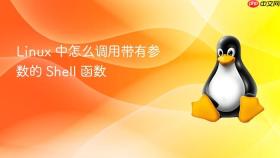 Linux 中怎么调用带有参数的 Shell 函数