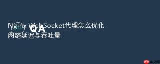 nginx websocket代理怎么优化网络延迟与吞吐量