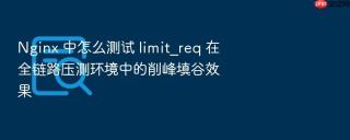 nginx 中怎么测试 limit_req 在全链路压测环境中的削峰填谷效果