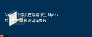 Nginx 中怎么查看编译进 Nginx 的所有内置模块编译参数